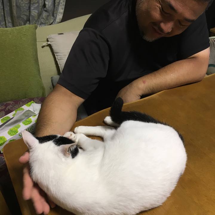 E7c9e225 57c3 4bb1 99a1 1042d60aabbc 1527522771436