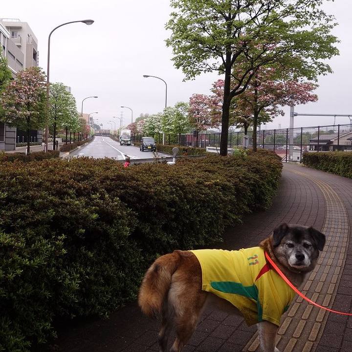 E7ca0a61 f493 495d b910 0a359662be90 1523756947745