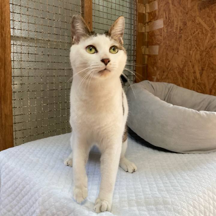 E7ca37e5 2336 4a83 951b dd2af2535097 1684400316827