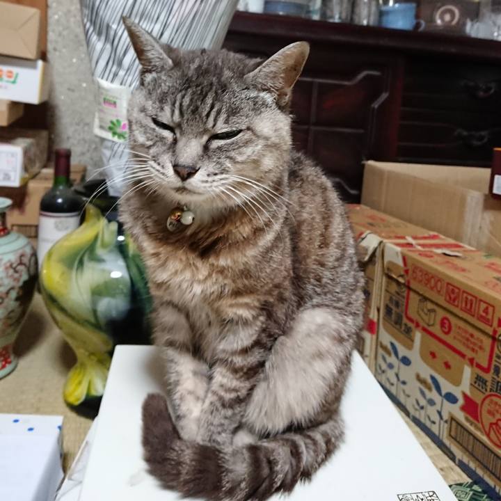 E7ca3d2b 39f8 4591 8425 1c7af7b82dbf 1568862904494