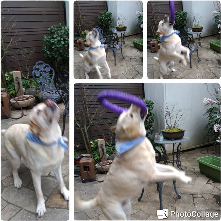 E7ca4bd6 8501 45d4 93c3 6905df3f3cc6 1583569299681