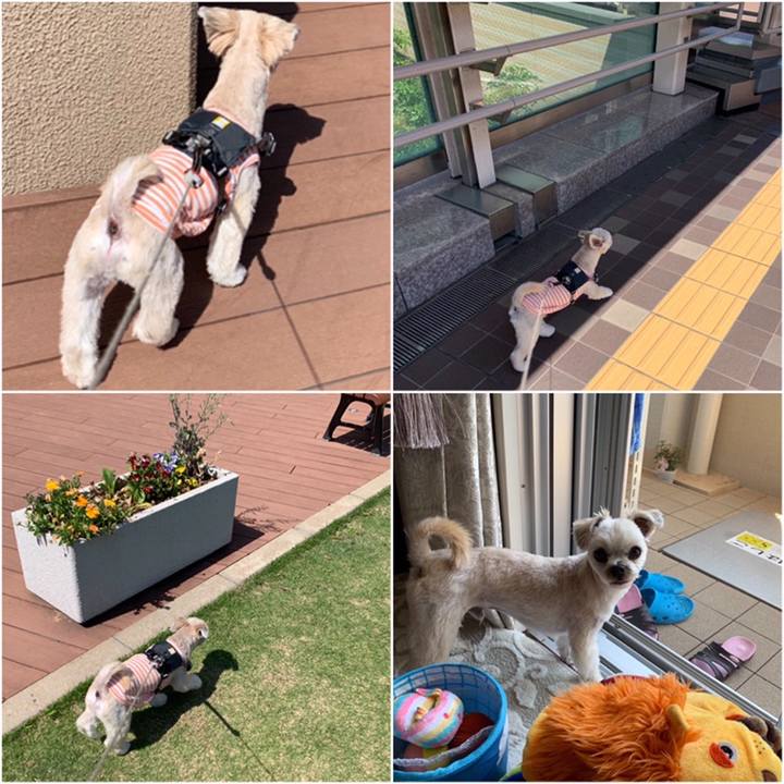 E7ca5f0e 1311 4fb2 97d3 368b93a43cd0 1558700094339