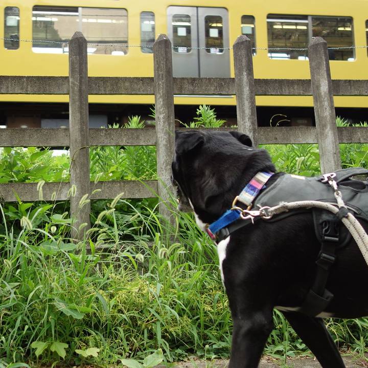 E7ca70cc a264 4c93 a14f 61b19c58c741 1659743984814