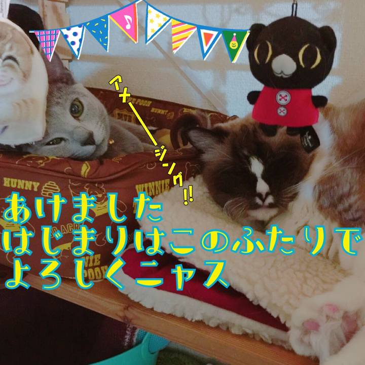 E7caa53d f5c6 4a40 bcc2 ad14767d802f 1514735008425