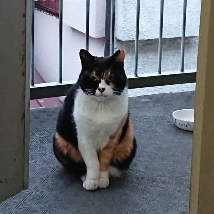 E7cab4f5 187a 45f4 bb97 1fdbae4deb77 1668212779654