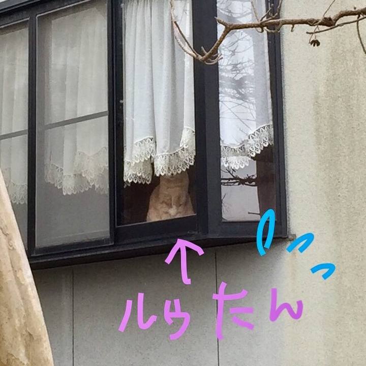 E7cad15d 727b 40e7 a9f2 911b541b8ee9 1521362568841