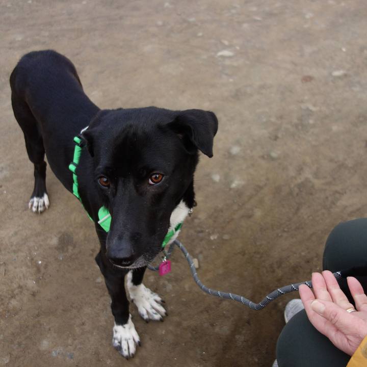 E7cad91d 2e07 4710 9e87 709e74d21041 1581728547016