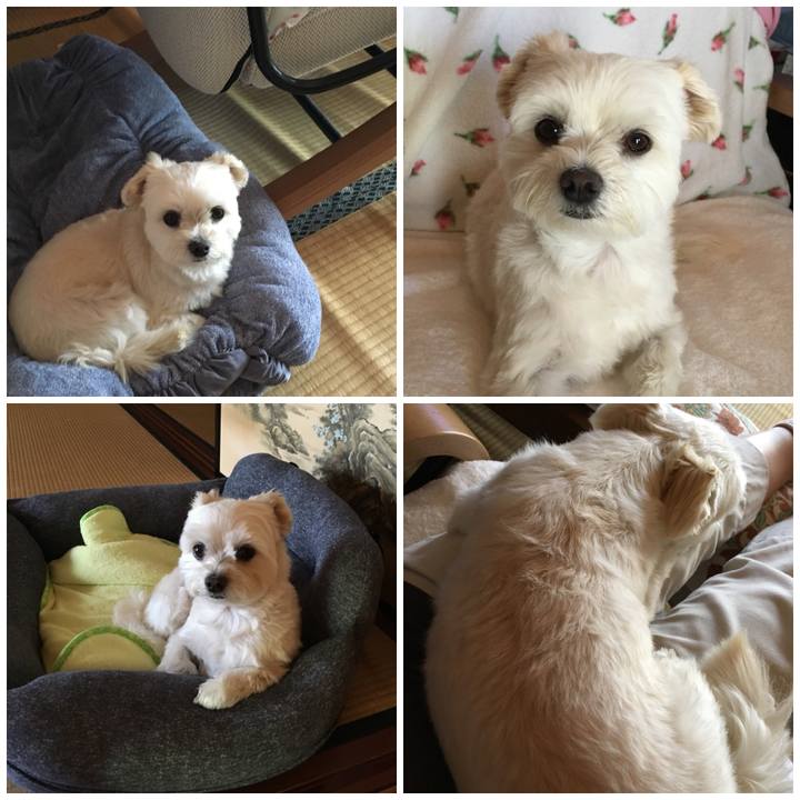 E7cae2de 5272 4692 984e f5569b1e172b 1527137900466