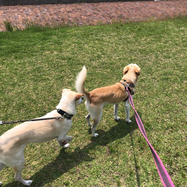 E7cafd59 b545 4ddf 93e2 0474e05013e1 1628639332751