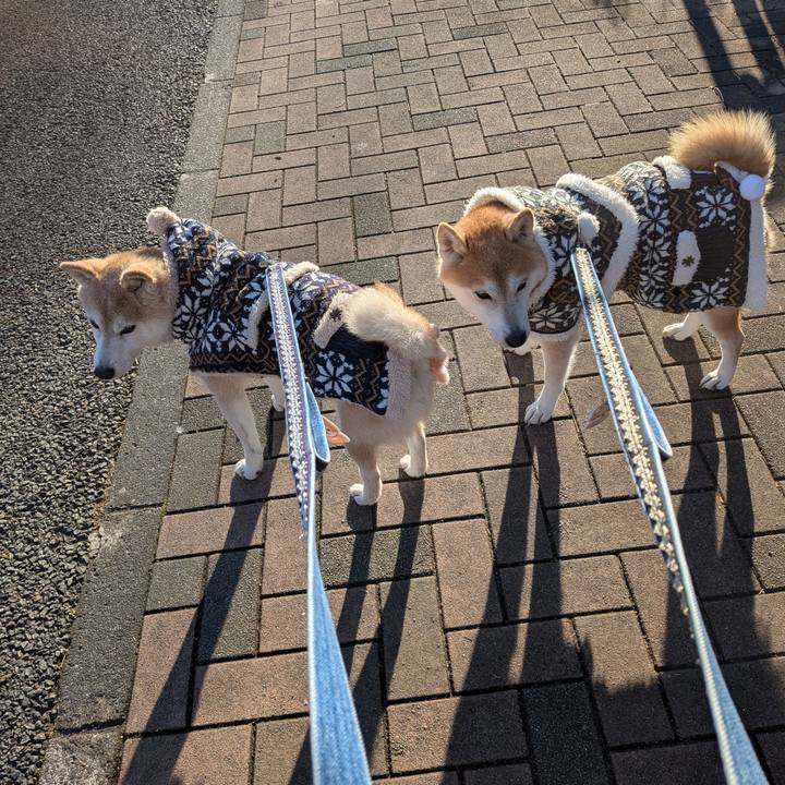 E7cb2563 9cca 493f b03f 121057f71803 1767493603298