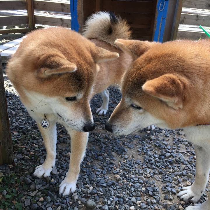 E7cb387b f27a 4639 8e49 2fc3a87bd09c 1573993606844