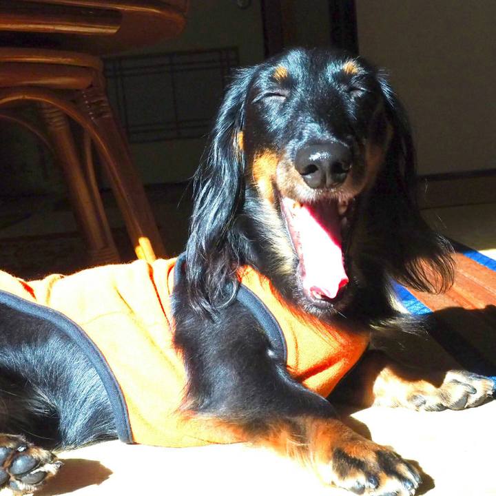 E7cb4df1 4bd1 4402 b724 b7aa80c81851 1509673033232