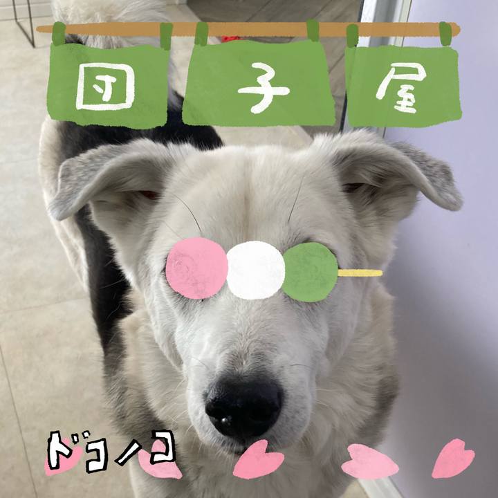 E7cb82ce 115d 4253 9ddc 158d3b9e63c1 1712231825403