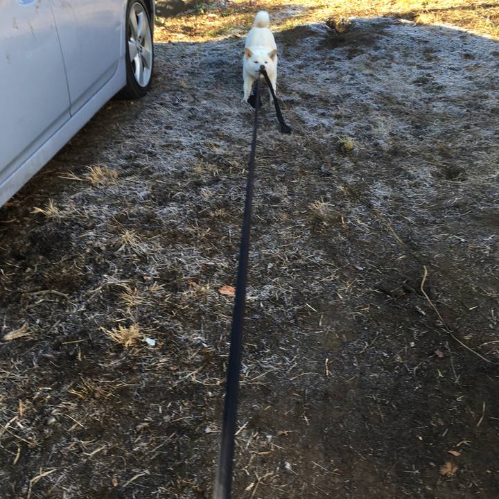 E7cbbbfa 10c2 4dd2 98dd e774021b5d95 1513988490588