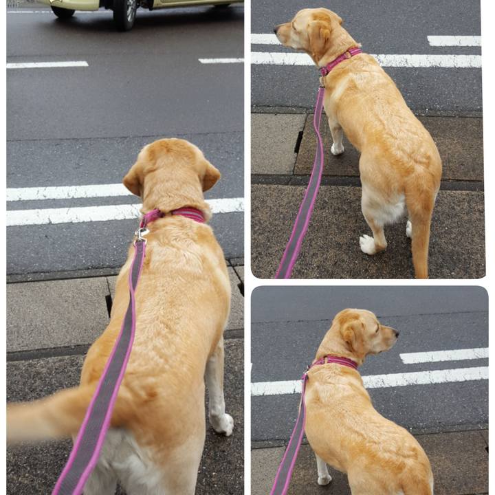 E7cbd305 cfed 4233 aaa3 75419915a0a6 1511937277468