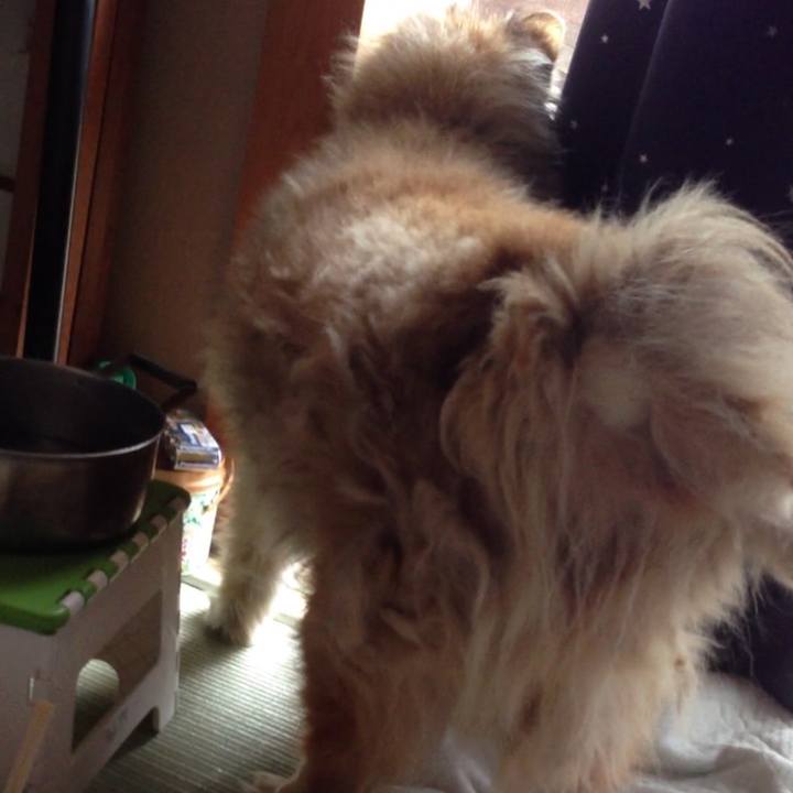 E7cbe3dd 2d4a 4b74 89f0 9e7c0679fd66 1603593358319