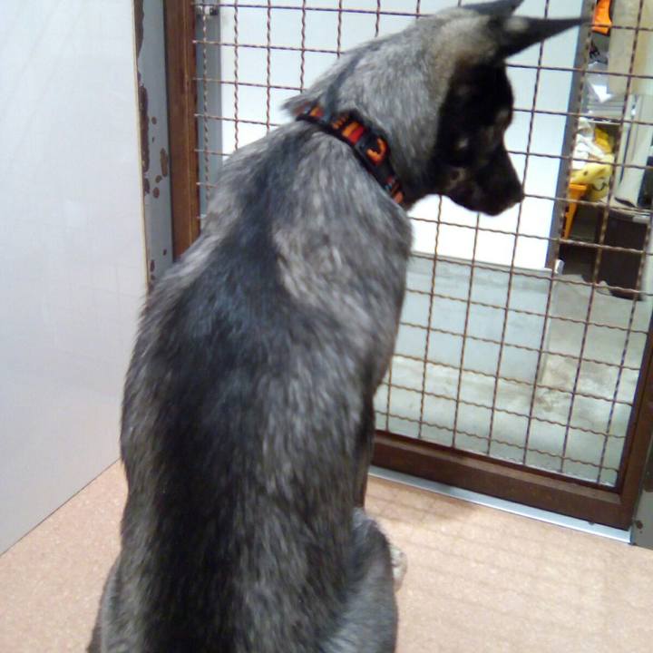 E7cc0b66 b9a1 4f44 a6c8 998641fff4b7 1519442464616