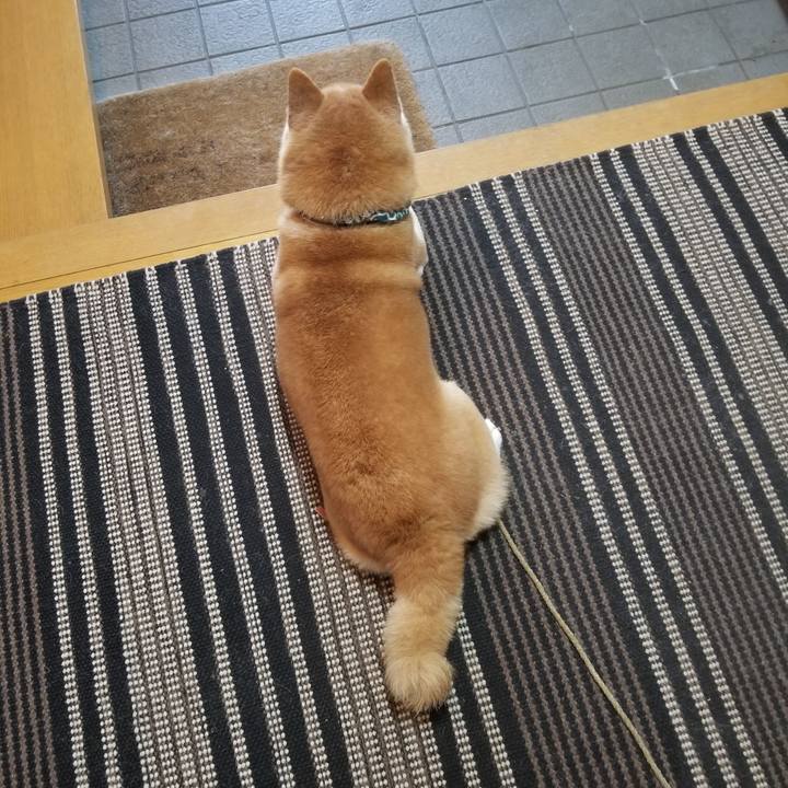 E7cc358f 80a8 47a4 bc1b a22faee6363e 1703038102299