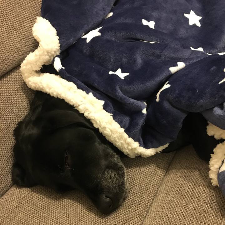 E7cc6ab3 970e 4738 bb11 d806533aa8f8 1515679842351