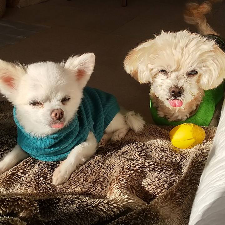 E7cc8566 b667 4ad9 b975 9db3d5fa7075 1672935879745