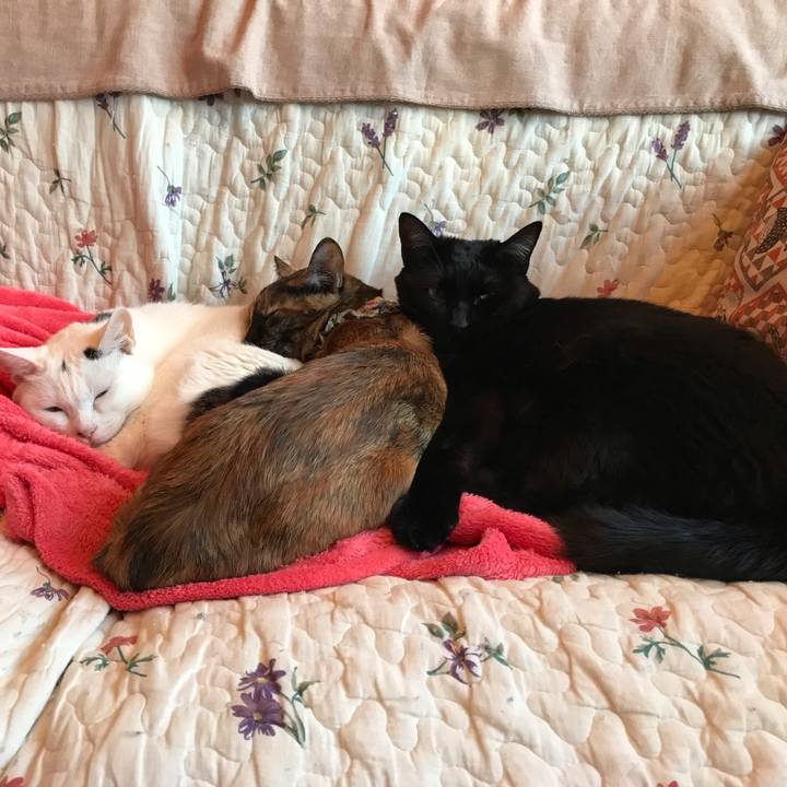 E7cc9143 76a6 433e 8a25 dc8b6901e4c3 1634453608599