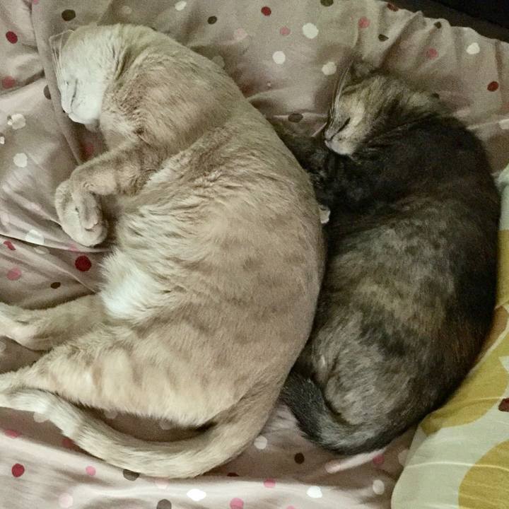 E7ccc30b d0df 46e1 8058 40b292f9a608 1535426842551