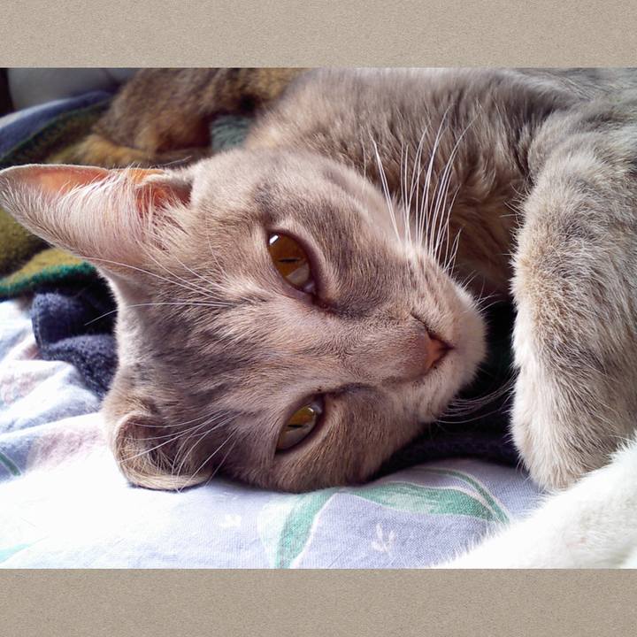 E7ccf663 e54d 4ceb af91 d7f80872679e 1509837476645