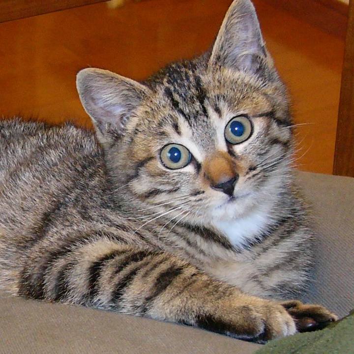 E7cd18a1 d3f4 4dbf 918d 64c4bfad364f 1544231230608