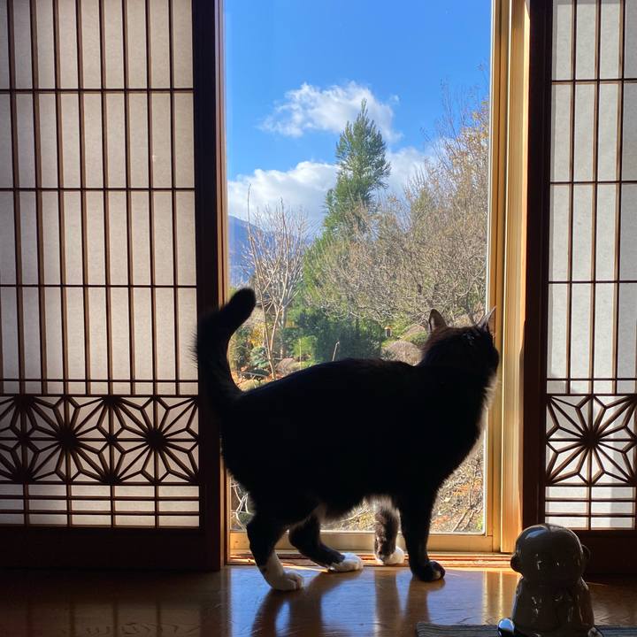 E7cd3005 4c75 4c69 a977 6d51692b98e3 1637645586030