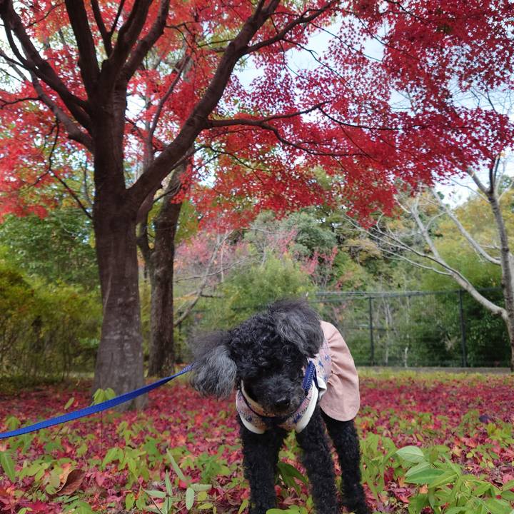 E7cd58cc 2495 4231 8684 2743e16a48a2 1763539122286