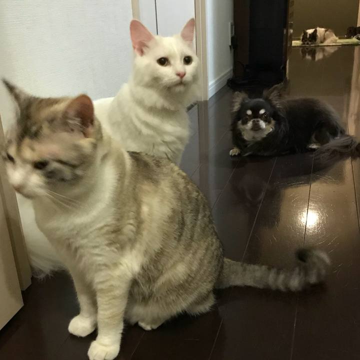 E7cdc02b 87d8 4ca5 901e b82770ce5d76 1524921156194