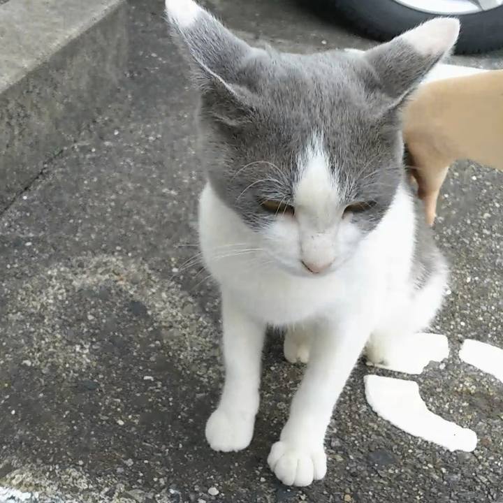 E7ce5031 ef27 4614 92de 58889375a183 1537924742830