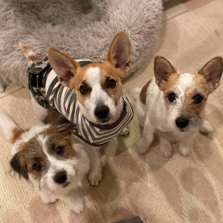 E7ce6f3f fd3f 4df9 b286 5ddeeaffd446 1578010510519