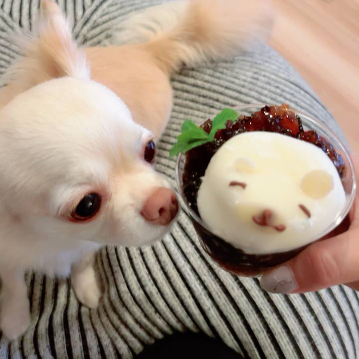 E7ce8102 0b87 4579 b7e4 3b8ee5905f35 1690369492713