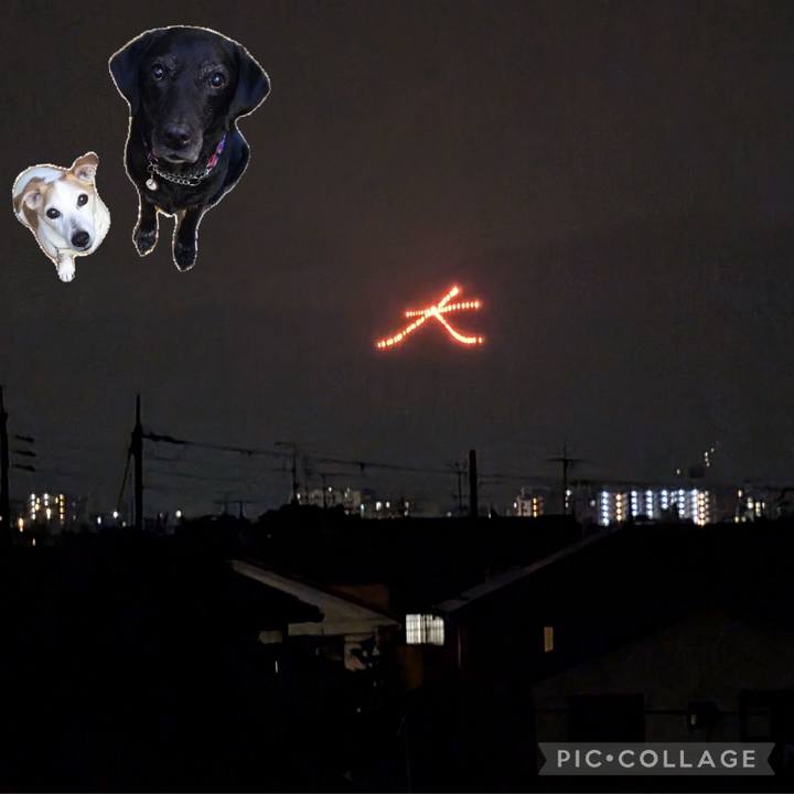 E7ce9fd6 8897 446a 870b 3b8e8ed5aee7 1755345247727