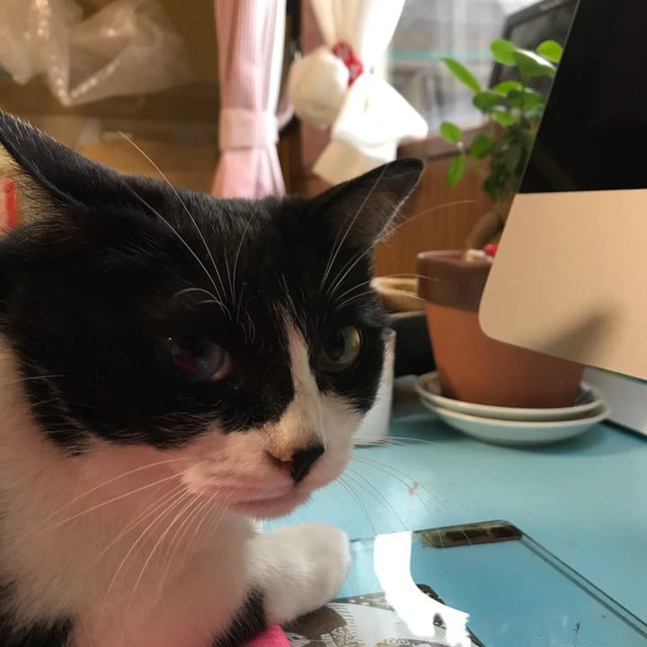 E7cead12 663b 4241 a0a5 8c33fd482b7d 1592483481575