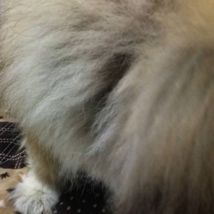 E7ceca8a 273f 43ba b2df a2ebcf7293b6 1648376711969