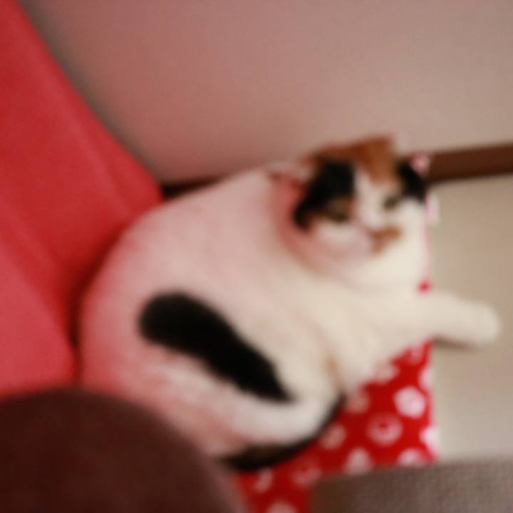 E7cf0698 ebc8 4849 924b 04f038d9497b 1570401329419