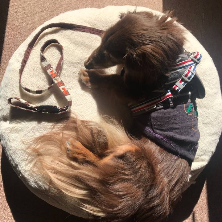 E7cf4bae 359a 4403 b3ce 0a1e4e85c2b0 1580437447001