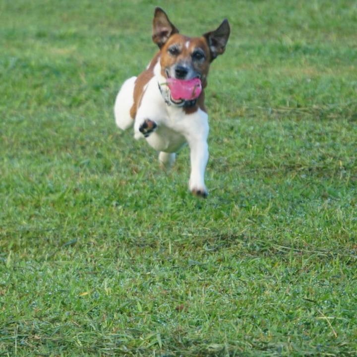 E7cf5700 0878 4c30 b31b 8954e855fb55 1600213395742