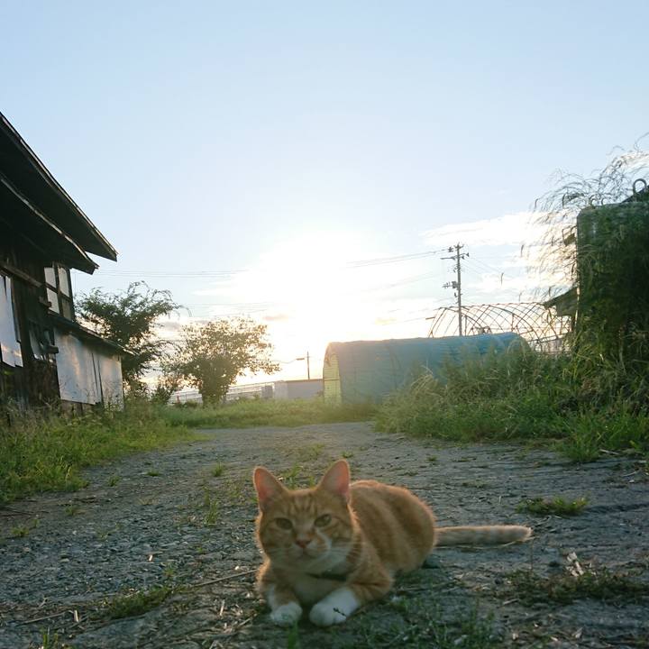 E7cf6e5f b5d7 44ba 82eb f1c209401613 1599425931190