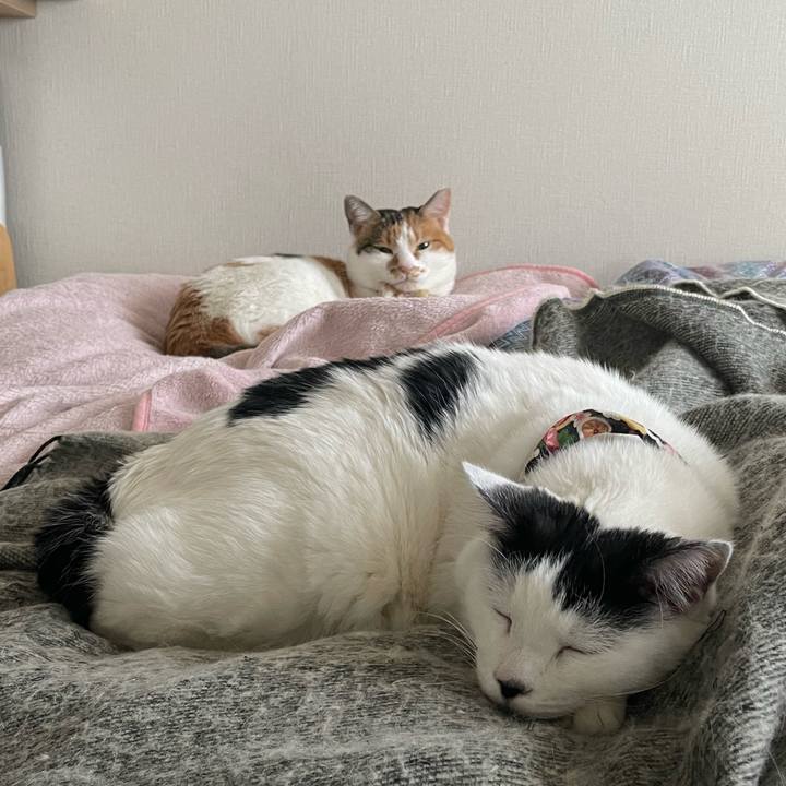 E7cfc25e 5c5d 4df9 bb6d 1281243ee0f6 1640397572832