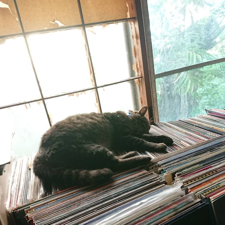 E7cfe2e6 480c 43b8 866b 551d0cd1fee9 1656715535323