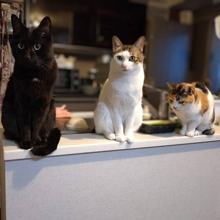 E7d002ae 9068 42fb 9d66 7eee5a69d4f0 1765787166696