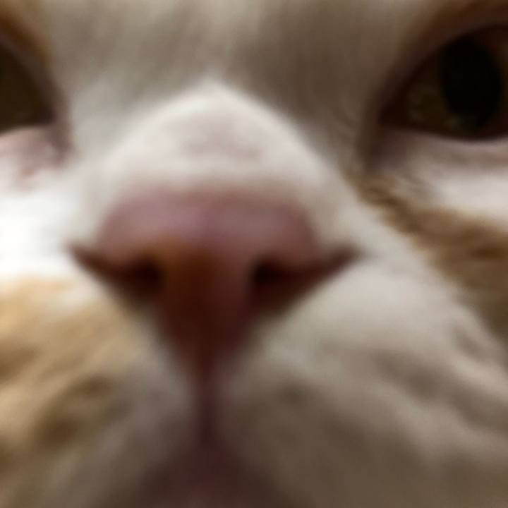 E7d01701 7f54 4299 a51b aa52c00724a1 1569017394388