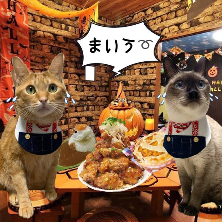 E7d05bd5 fef1 43b2 97b2 1c54b1f7ef2f 1572497367290