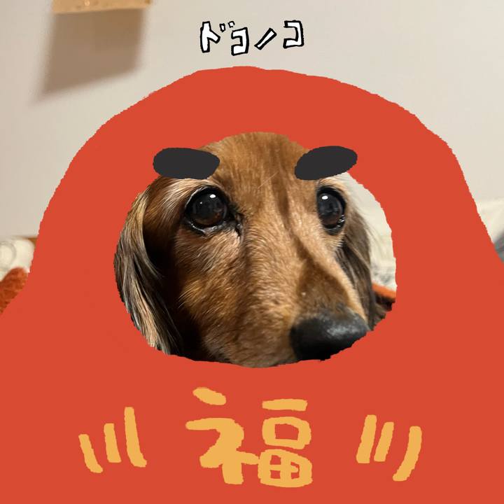 E7d07b34 f6a8 472f a1b5 1fdc17934b6a 1771971886494