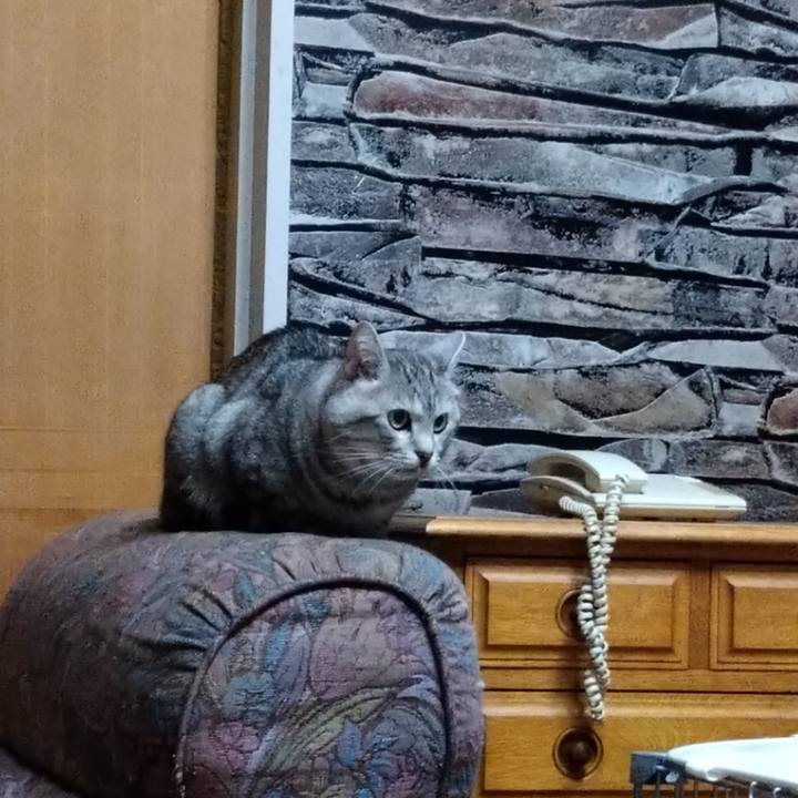 E7d0843e 7c45 4a77 b901 be5be73e5a33 1679124308698