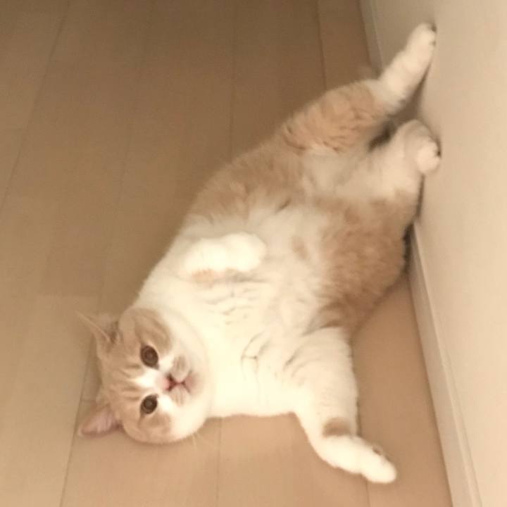 E7d0c822 52ba 4b13 a714 962365cb5cac 1529285055196