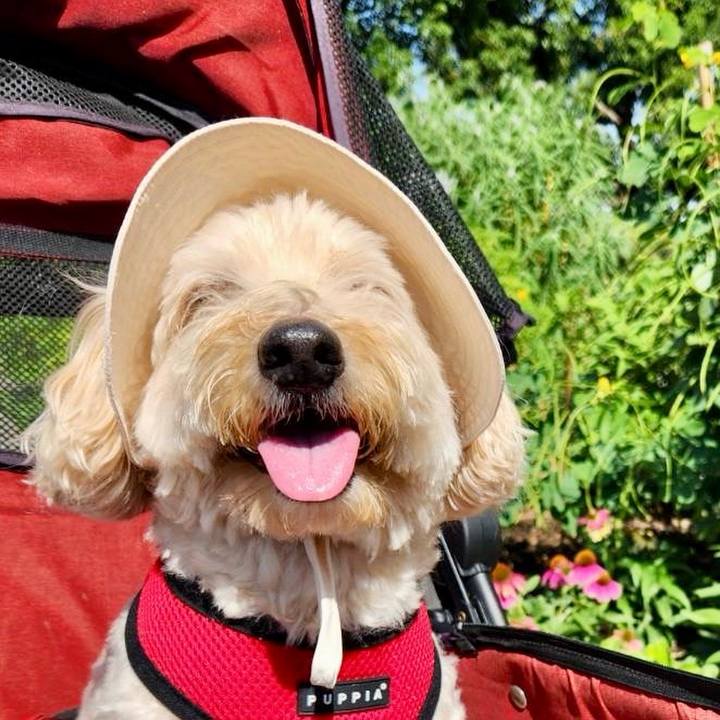 E7d11f8c d2e7 41d4 95f1 a22041576d8e 1758509034704